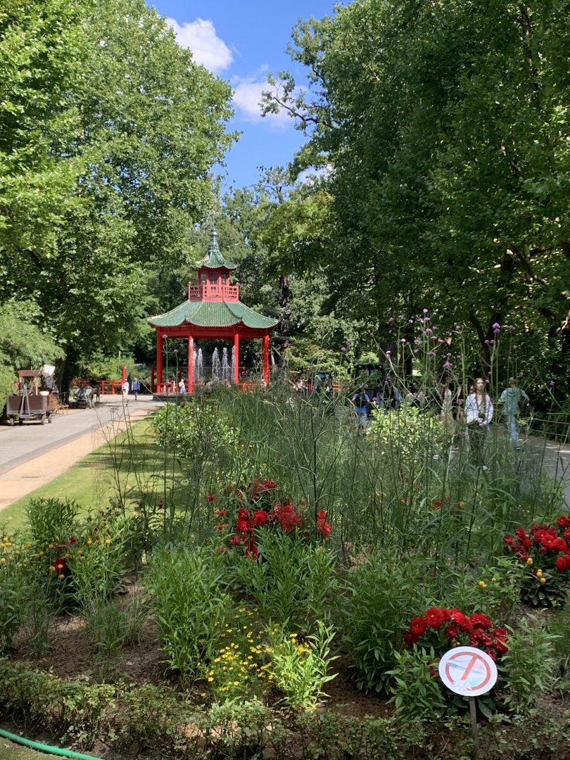 Zoo's gardens