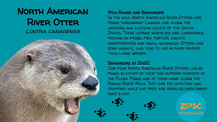 ZooSC at Myrtle Beach -> Habitat Signs