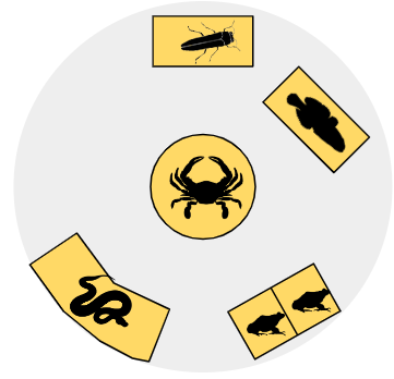 ZooSC at Myrtle Beach -> Invasion Module