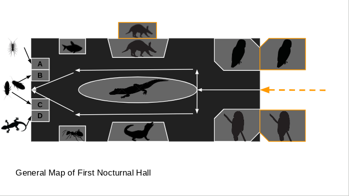 ZooSC at Myrtle Beach -> Nocturnal House First Hall