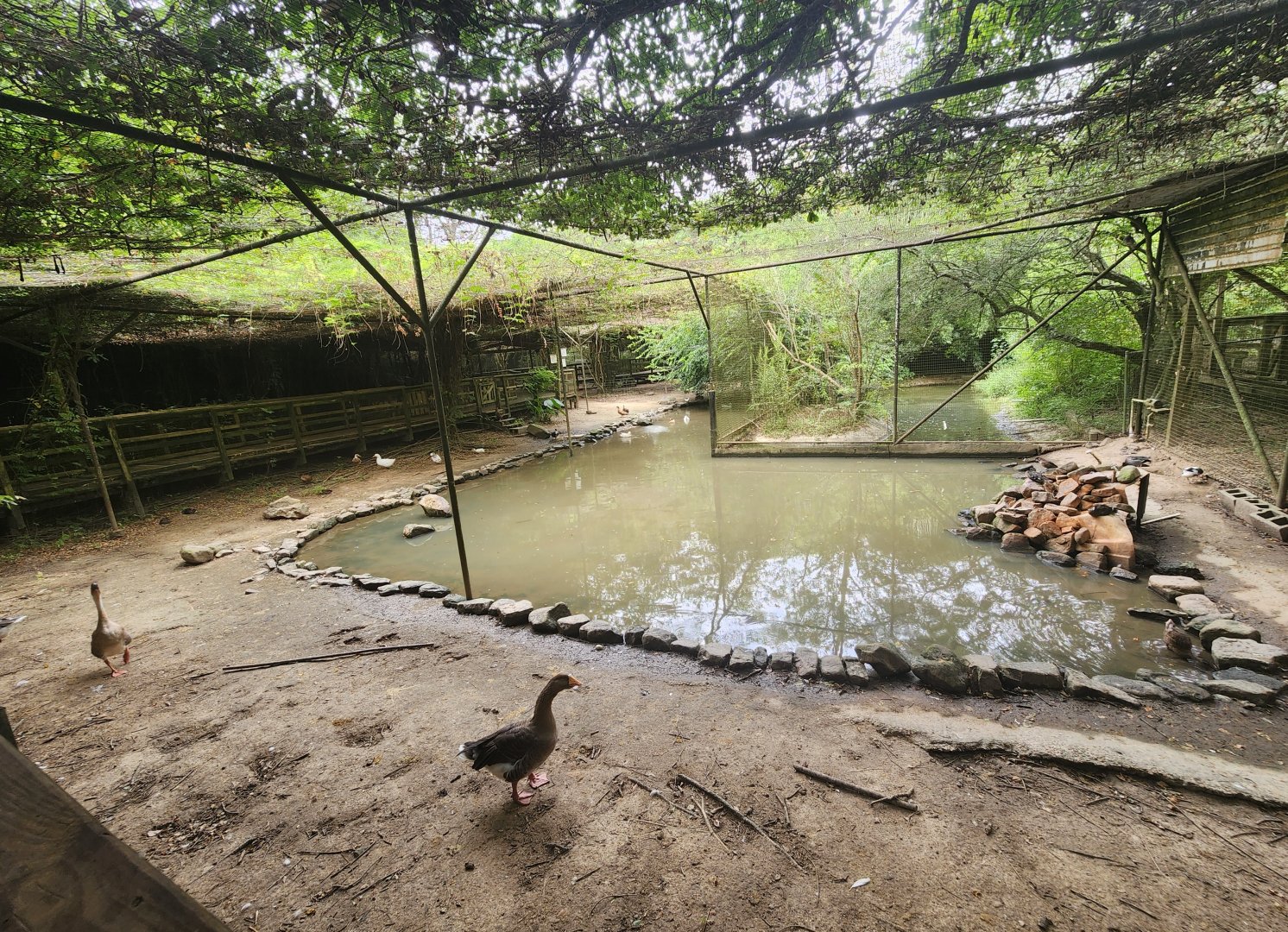 Zoosiana - Aviary