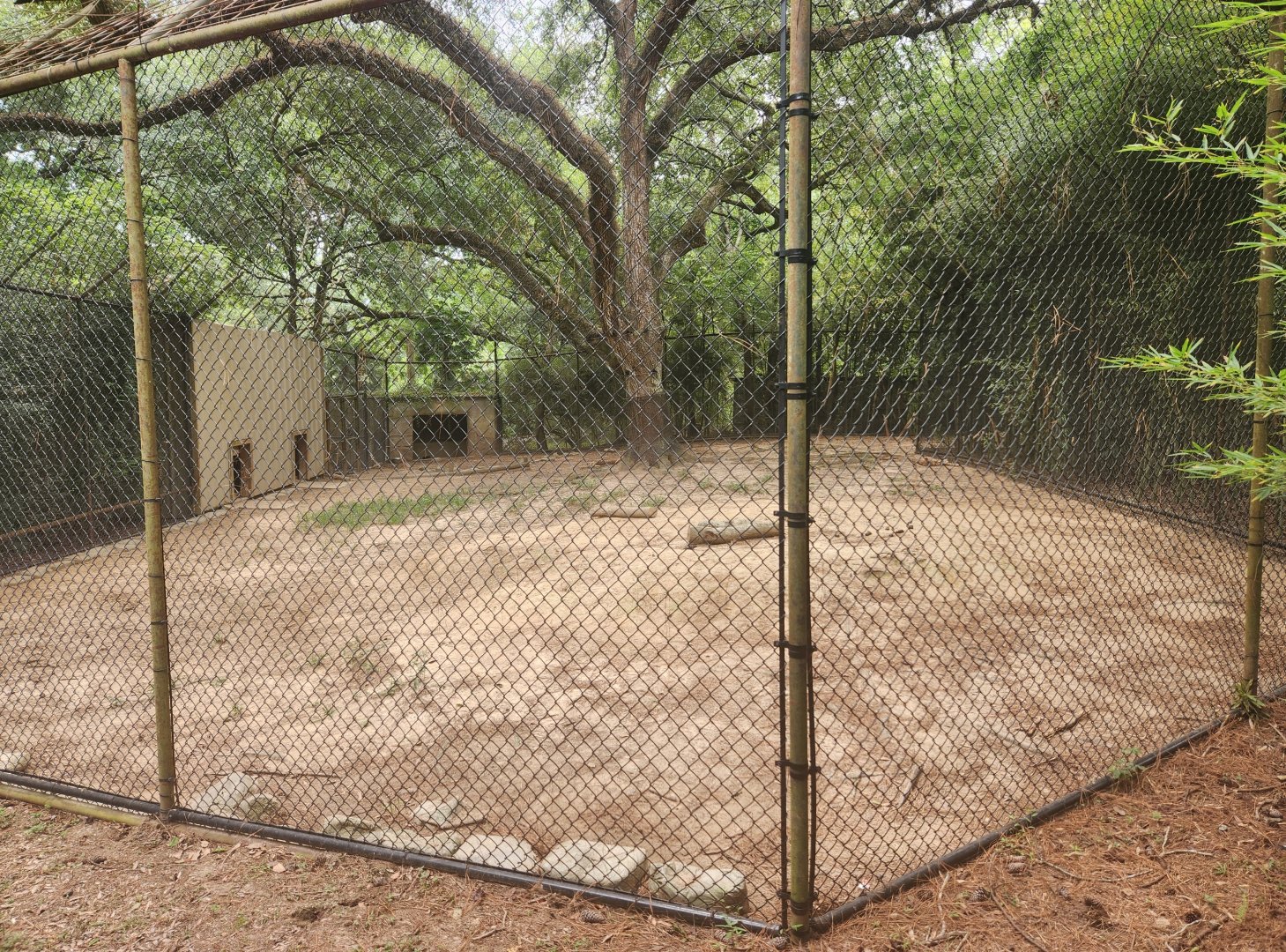 Zoosiana - Cheetah exhibit