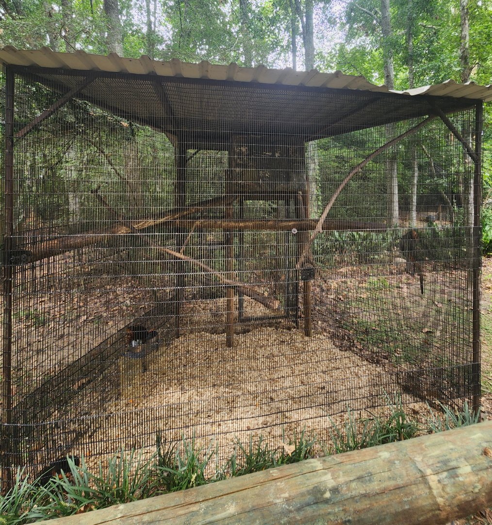 Zoosiana - Golden-crowned Lion Tamarin enclosure