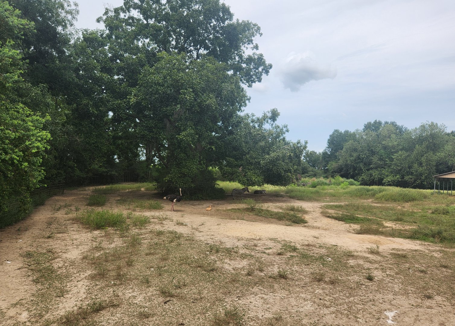 Zoosiana - Mixed field exhibit