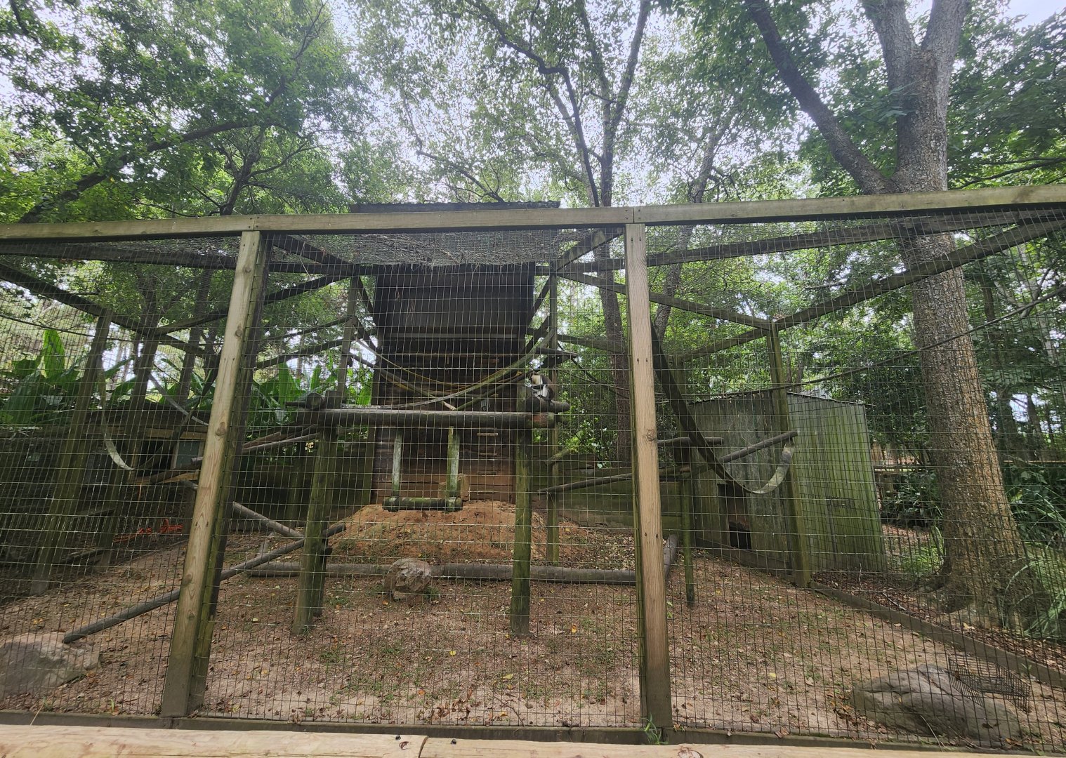 Zoosiana - Mona Monkey exhibit