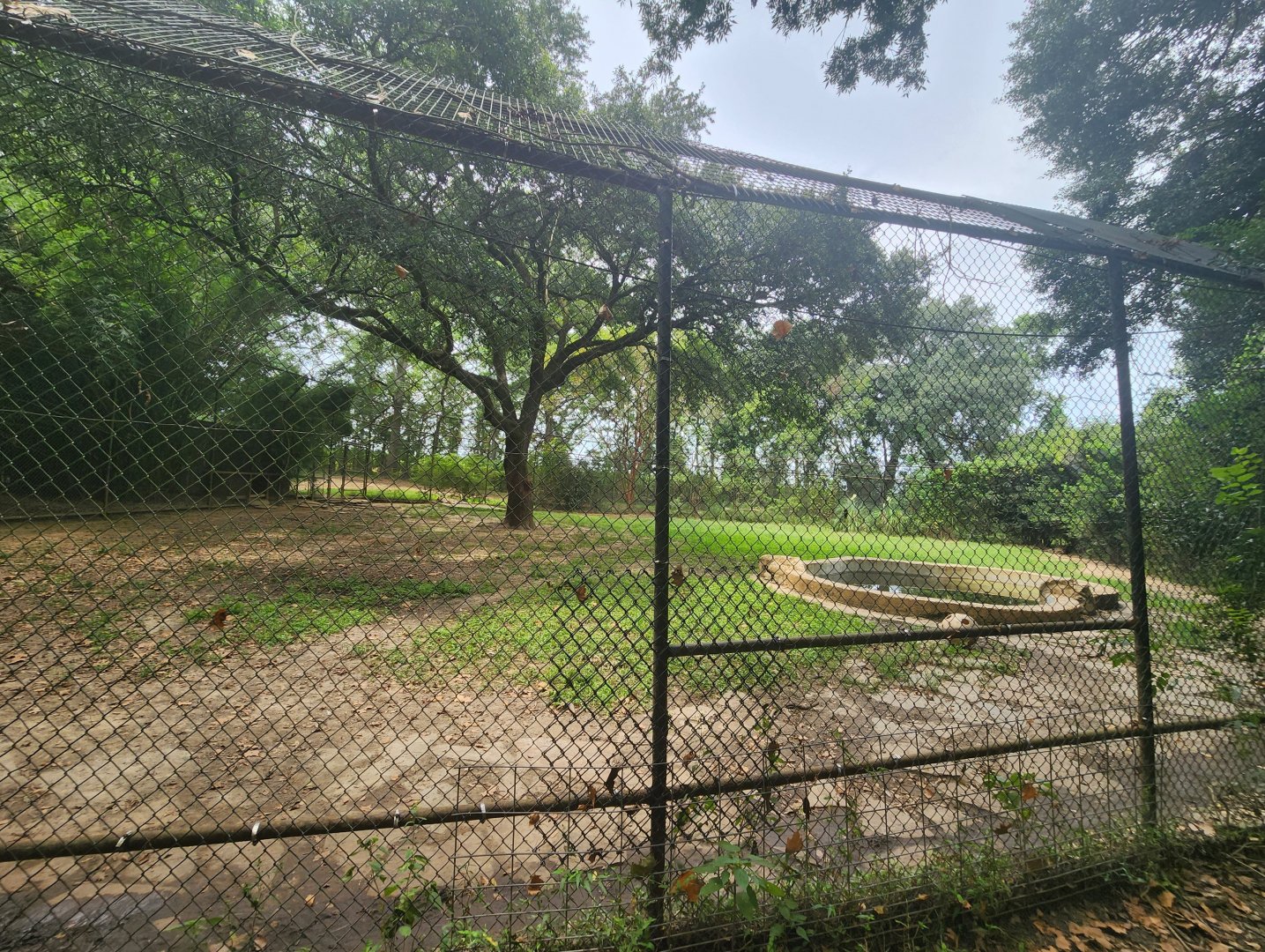 Zoosiana - Tiger exhibit