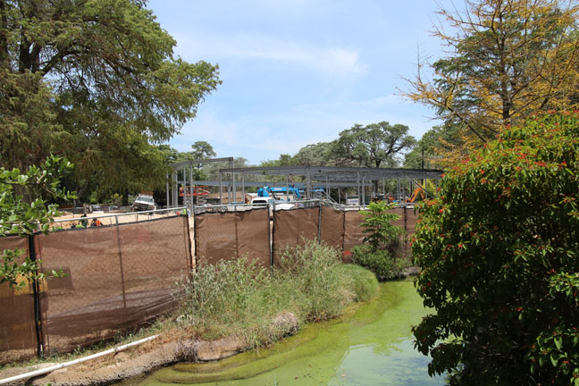 zooteniel plaza construction