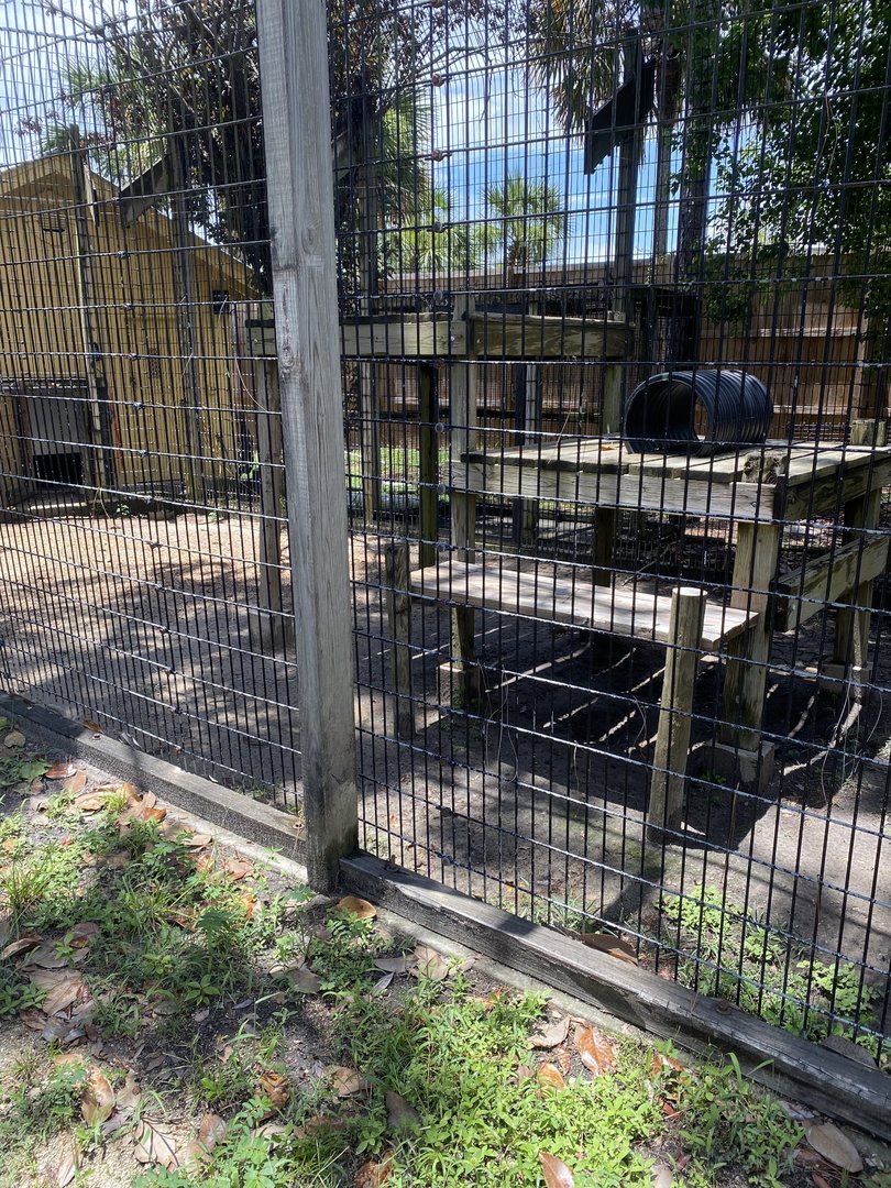 ZooWorld- Aardwolf Exhibit