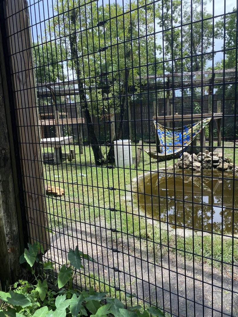 ZooWorld- American Black Bear Exhibit