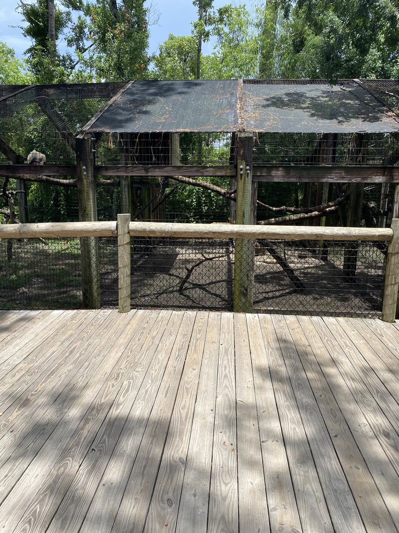 ZooWorld- Aviaries- (3 species)