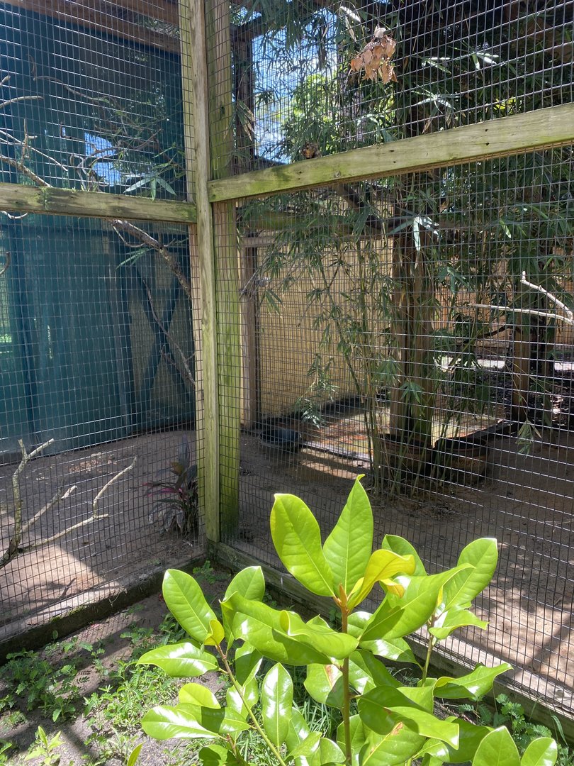 ZooWorld- Aviary-(3 species)