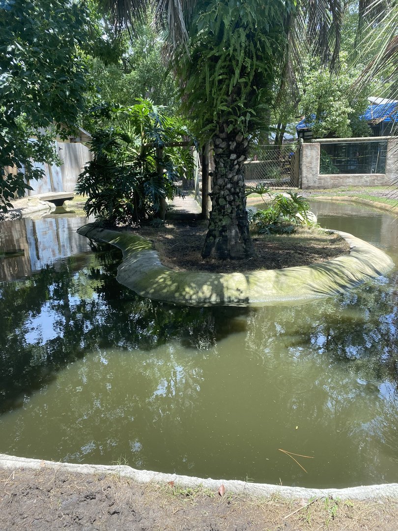ZooWorld- Barid’s Tapir and Capybara Exhibit