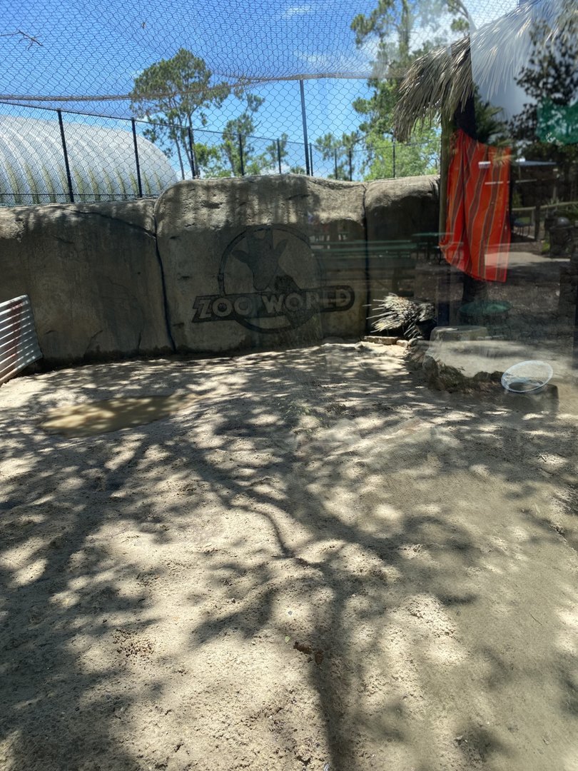 ZooWorld- Crested Porcupine and Bat-Eared Fox Exhibit