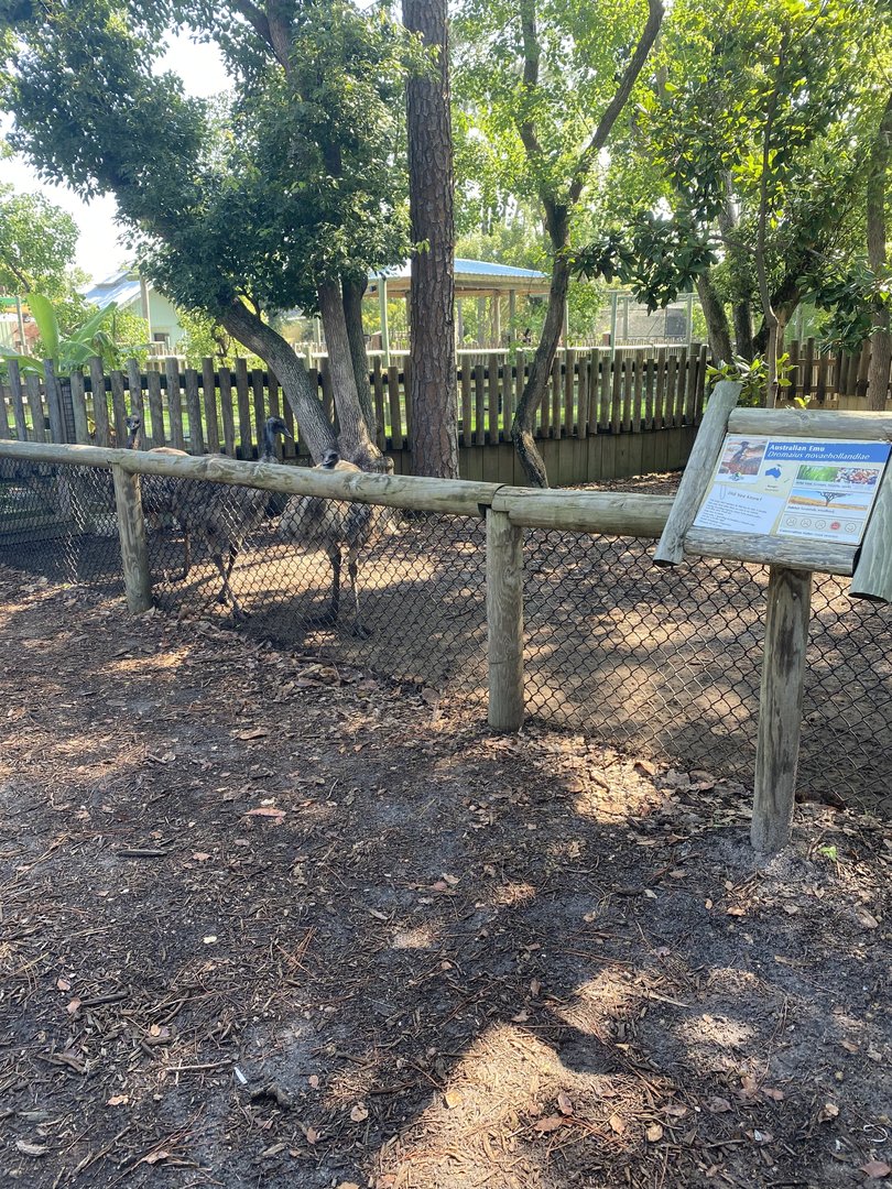 ZooWorld- Emu Exhibit