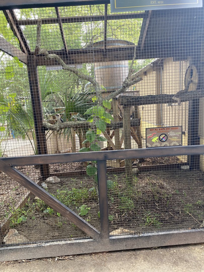 ZooWorld- Laughing Kookaburra Exhibit