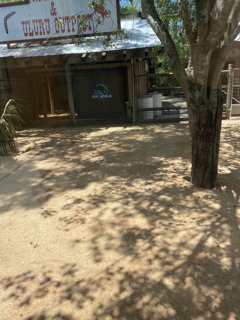 ZooWorld- Red Kangaroo Exhibit