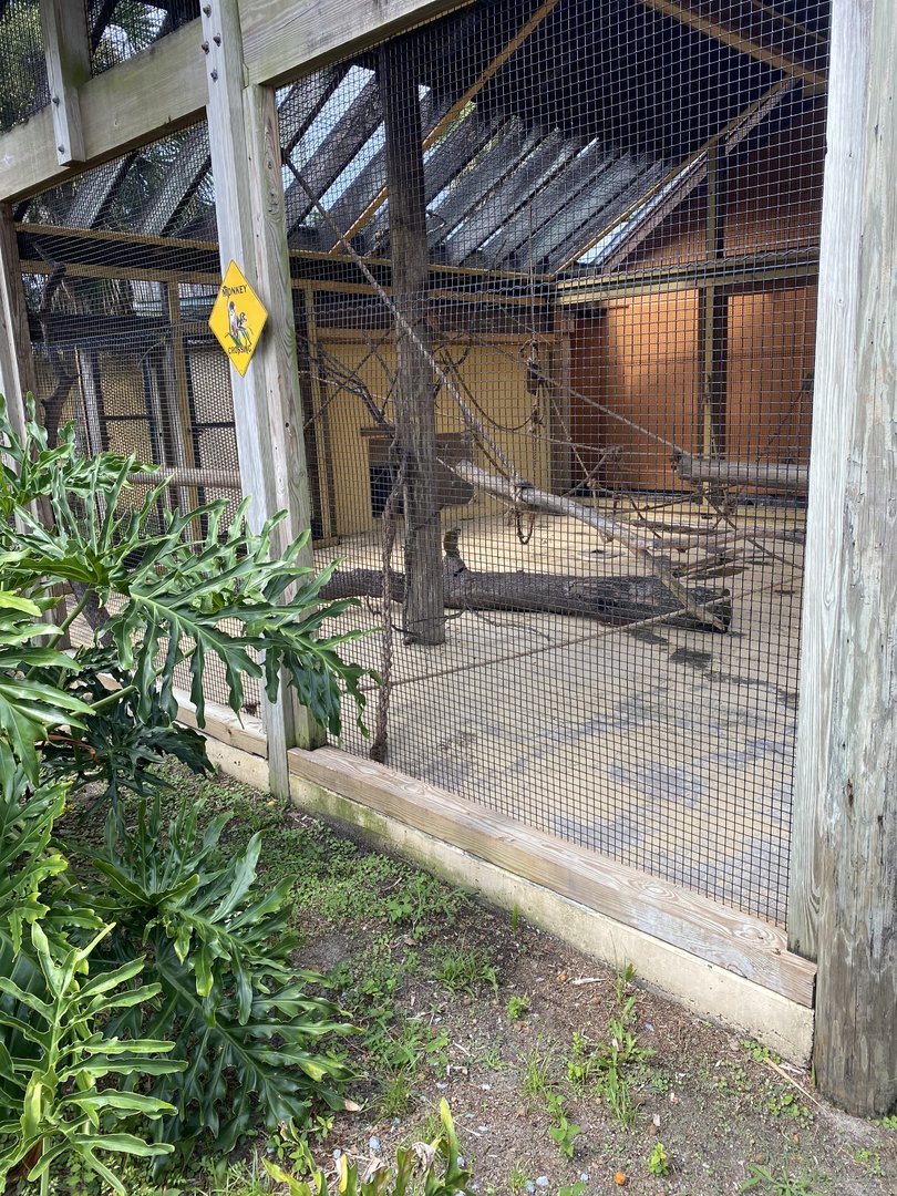 ZooWorld- Squirrel Monkey Exhibit