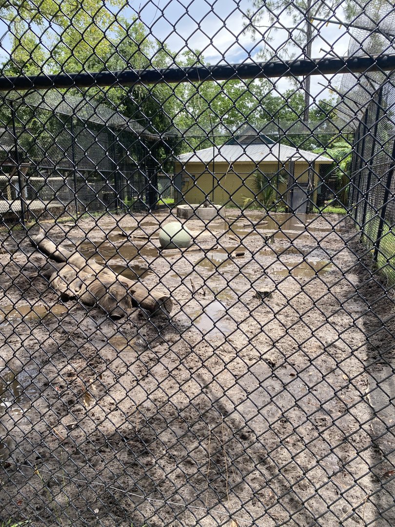 ZooWorld- Warthog Exhibit