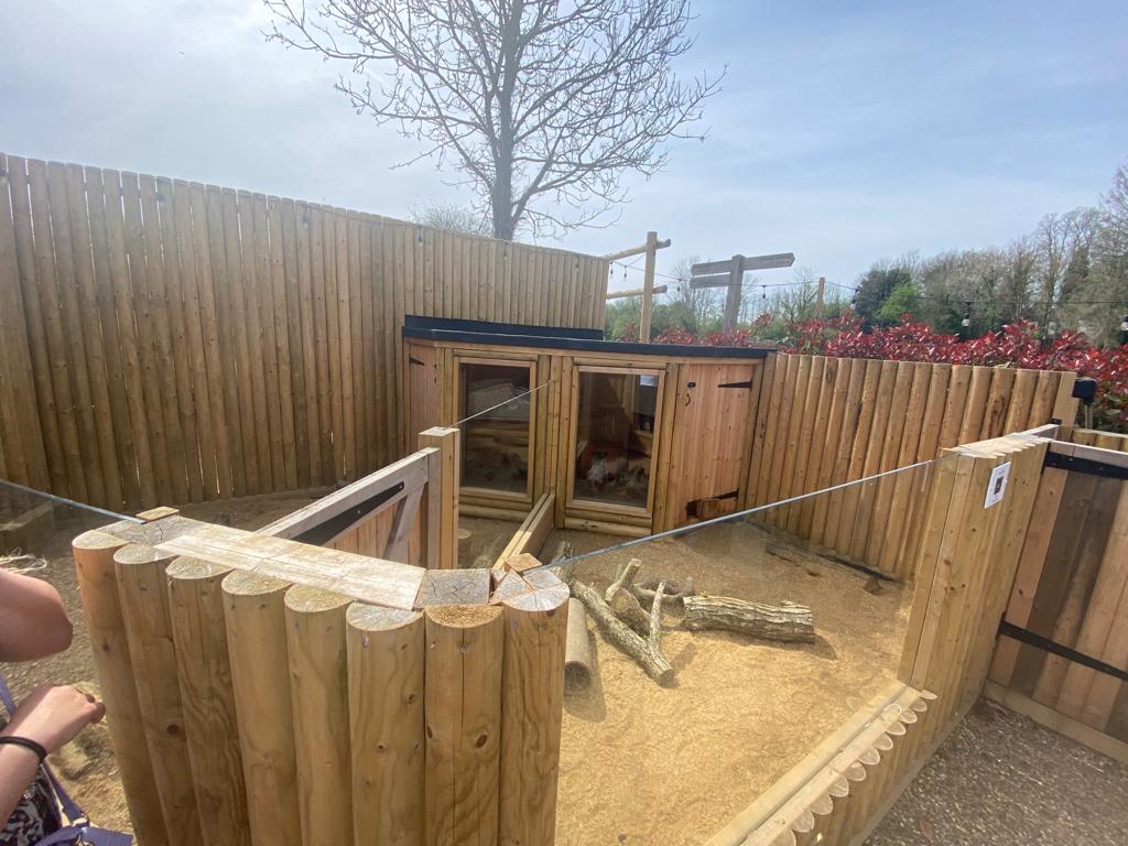 Zorilla and Dwarf Mongoose Enclosures