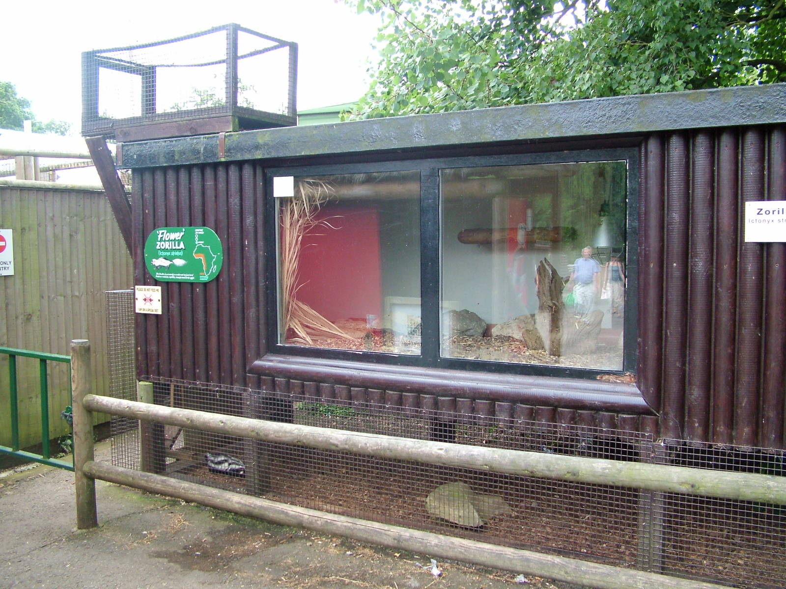 Zorilla enclosure at Paradise WP, Broxbourne 25/07/09