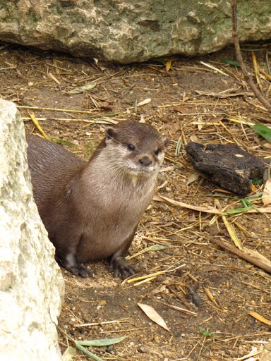 ZSL London Zoo 9.09.2010