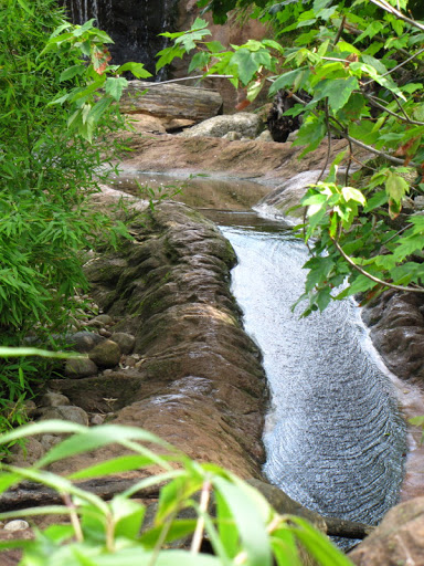 ZSL London Zoo 9.09.2010