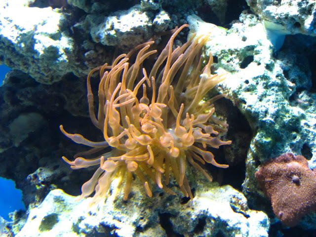 ZSL London Zoo 9.09.2010