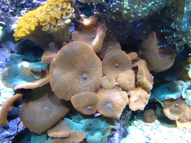 ZSL London Zoo 9.09.2010