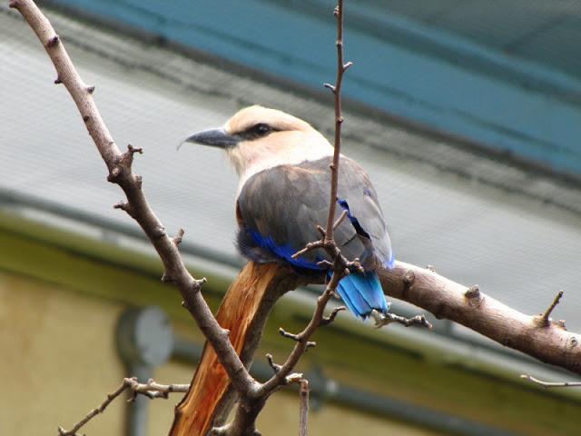 ZSL London Zoo 9.09.2010