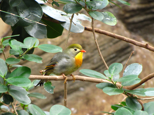 ZSL London Zoo 9.09.2010
