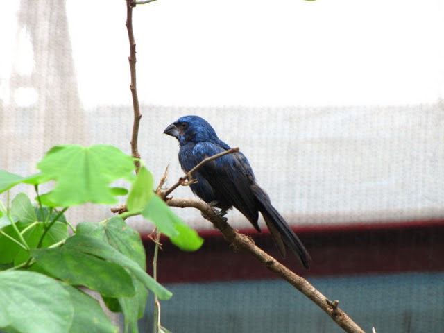 ZSL London Zoo 9.09.2010