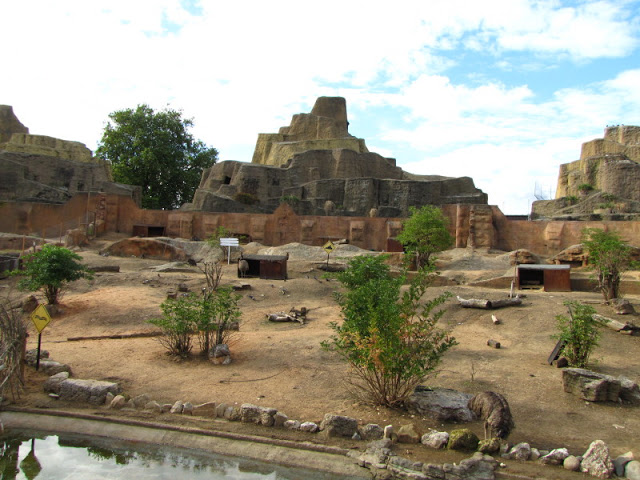 ZSL London Zoo 9.09.2010