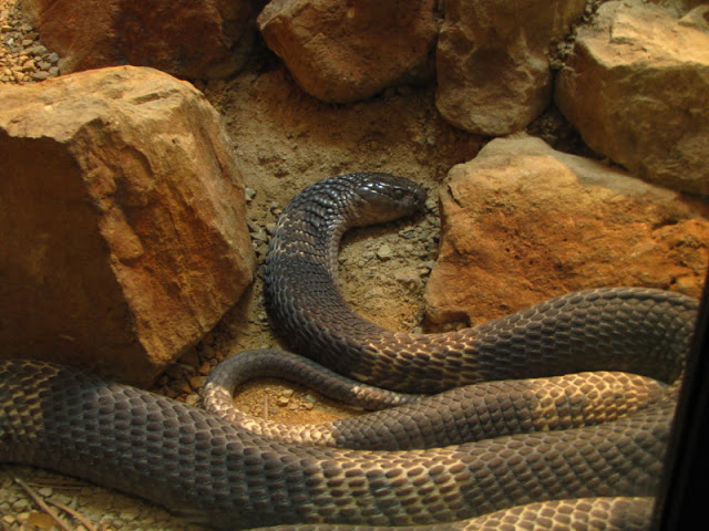 ZSL London Zoo 9.09.2010