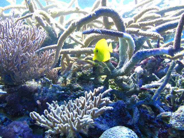 ZSL London Zoo 9.09.2010