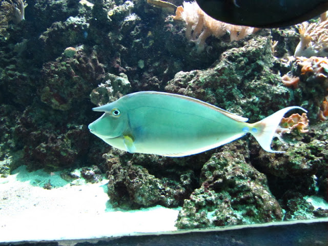 ZSL London Zoo 9.09.2010