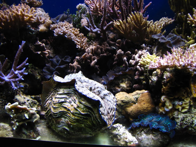 ZSL London Zoo 9.09.2010