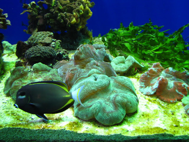 ZSL London Zoo 9.09.2010