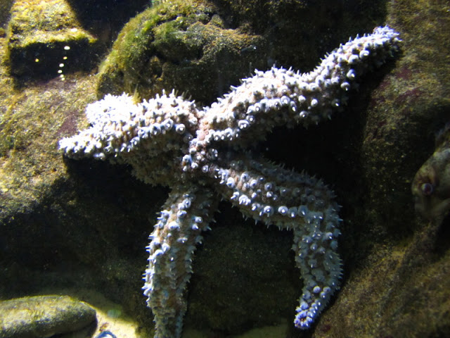 ZSL London Zoo 9.09.2010