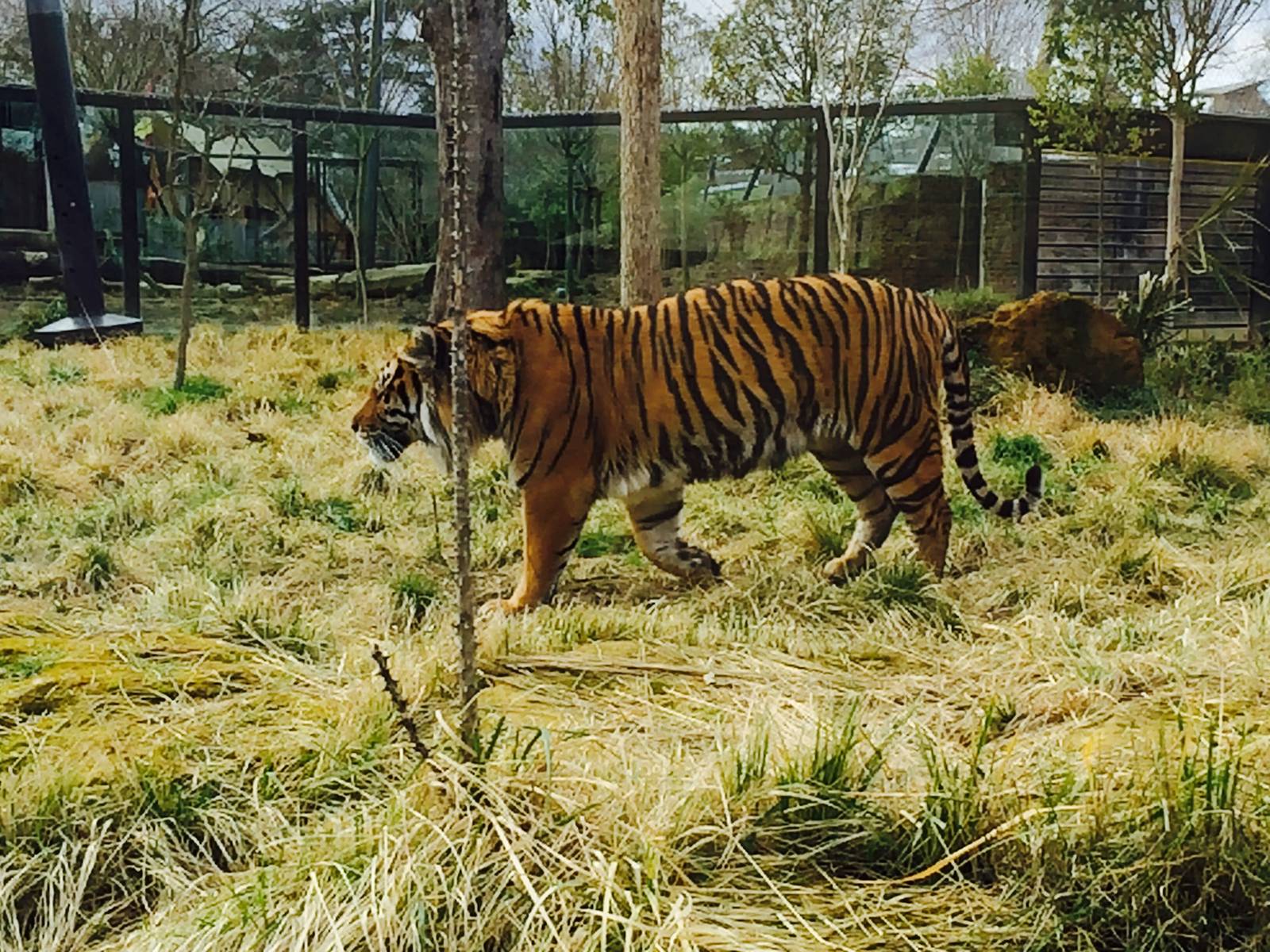ZSL London Zoo April 2015