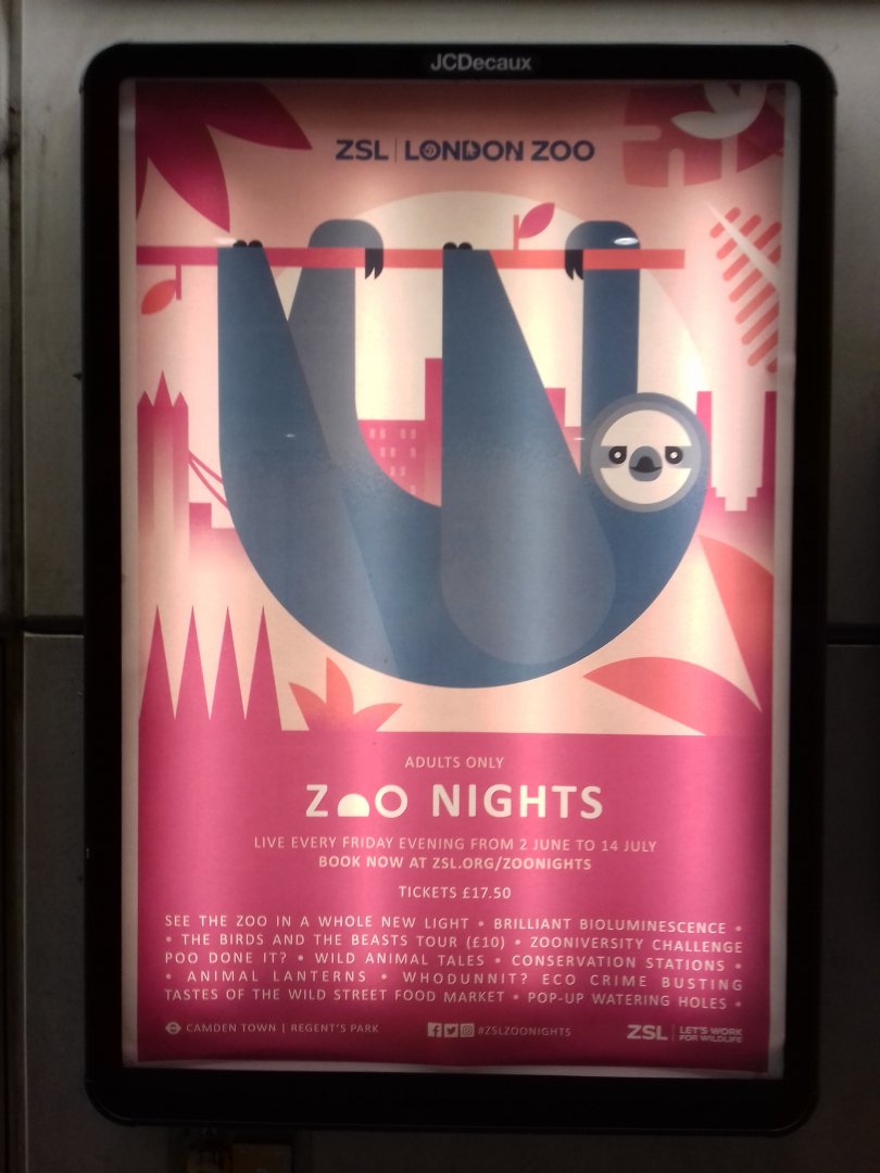 ZSL London Zoo poster art - Zoo Nights 2017