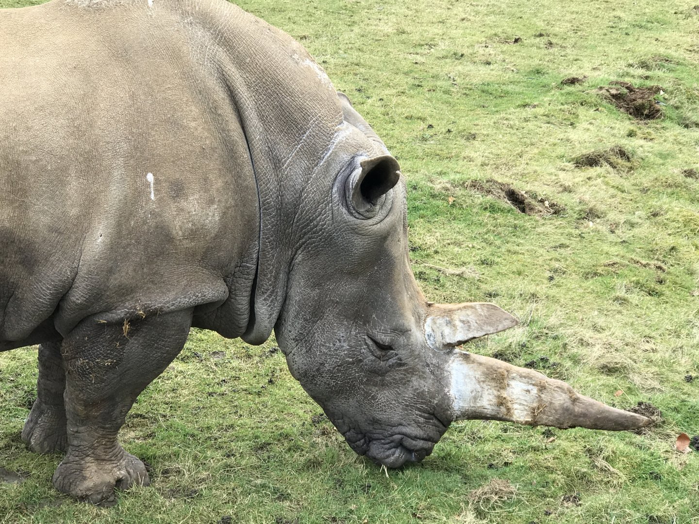 ZSL Whipsnade Zoo - 19/2/17