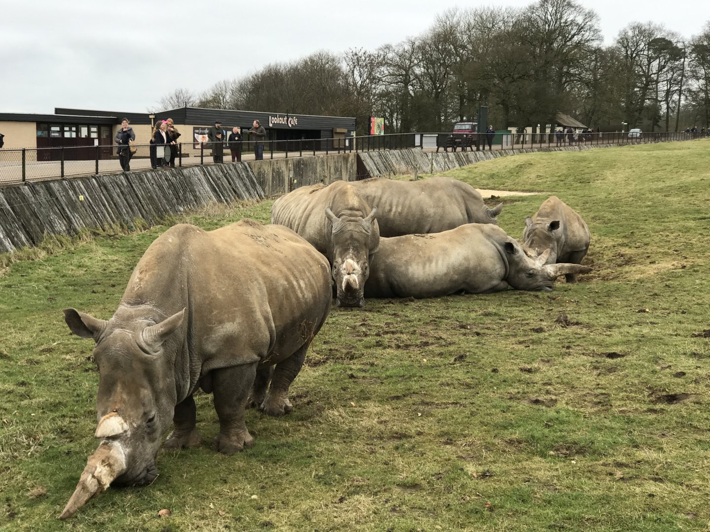 ZSL Whipsnade Zoo - 19/2/17