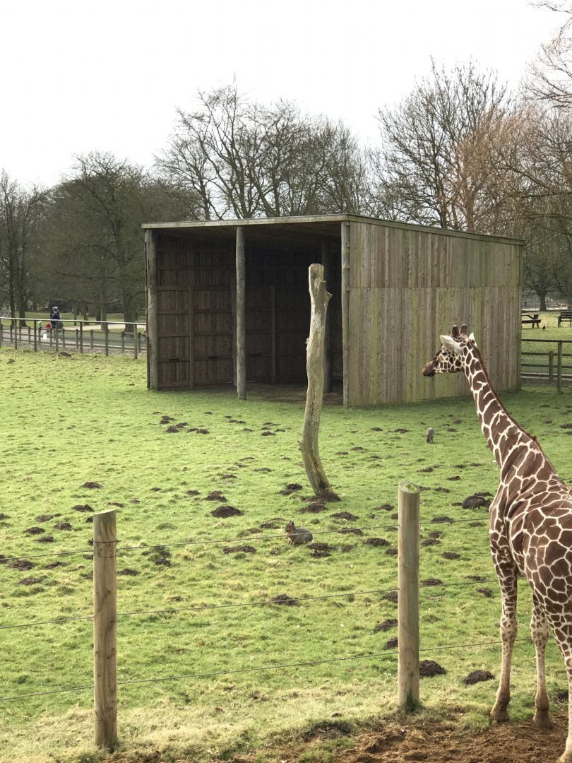 ZSL Whipsnade Zoo - 19/2/17