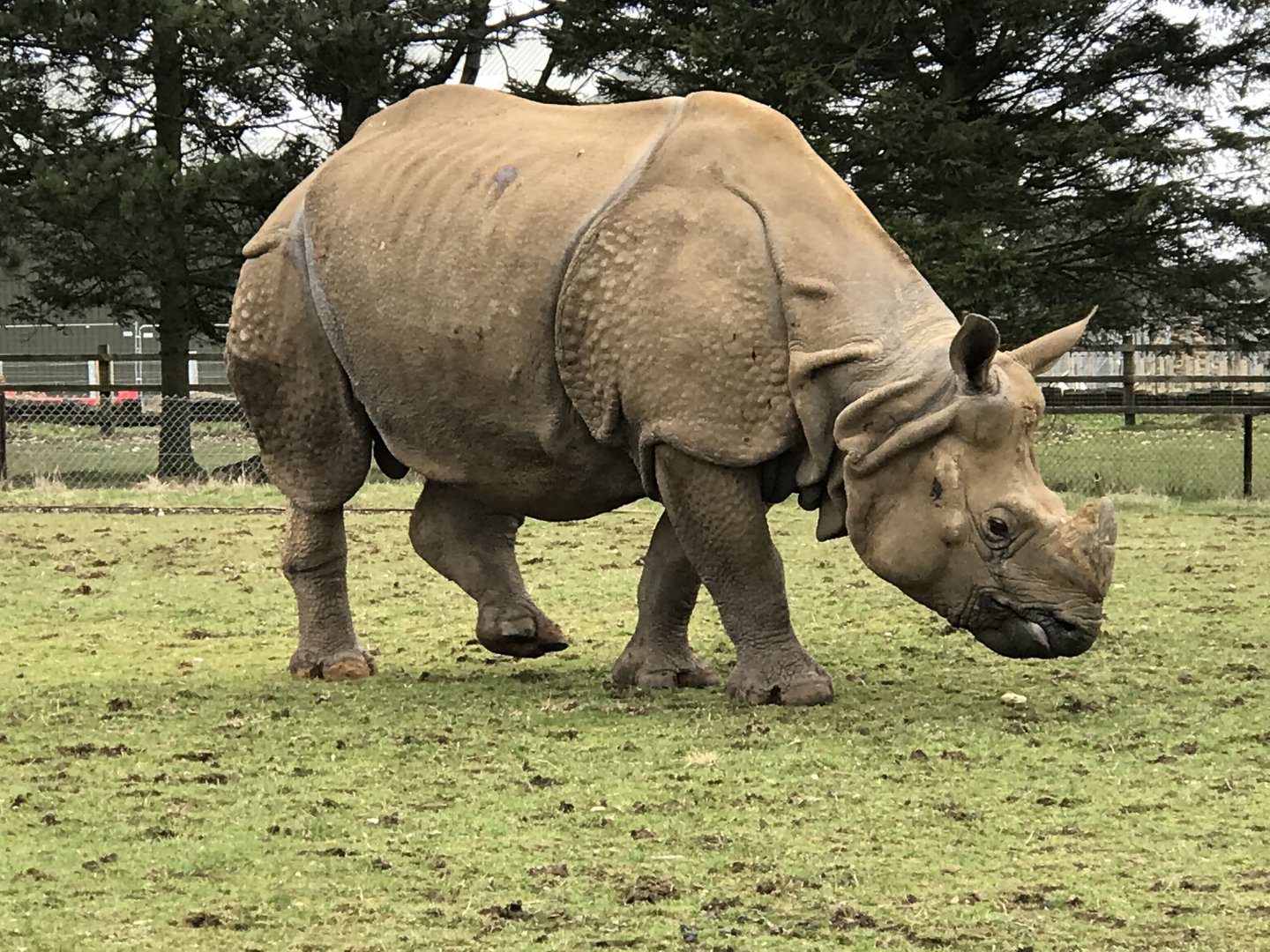 ZSL Whipsnade Zoo - 19/2/17