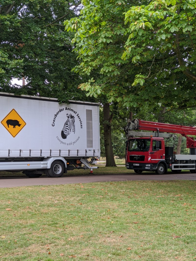 ZSL Whipsnade Zoo White Rhino