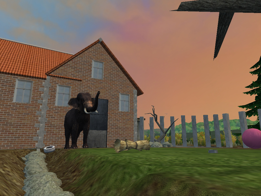 ZT2 Sri Lankan Elephant Bull Yard