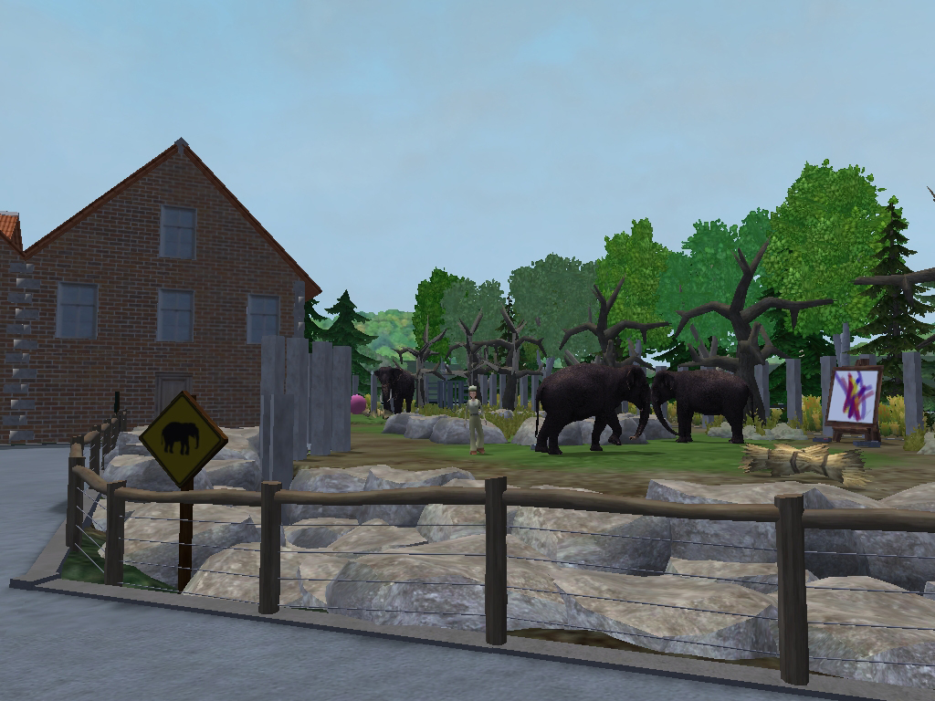 ZT2 Sri Lankan Elephant Exhibit