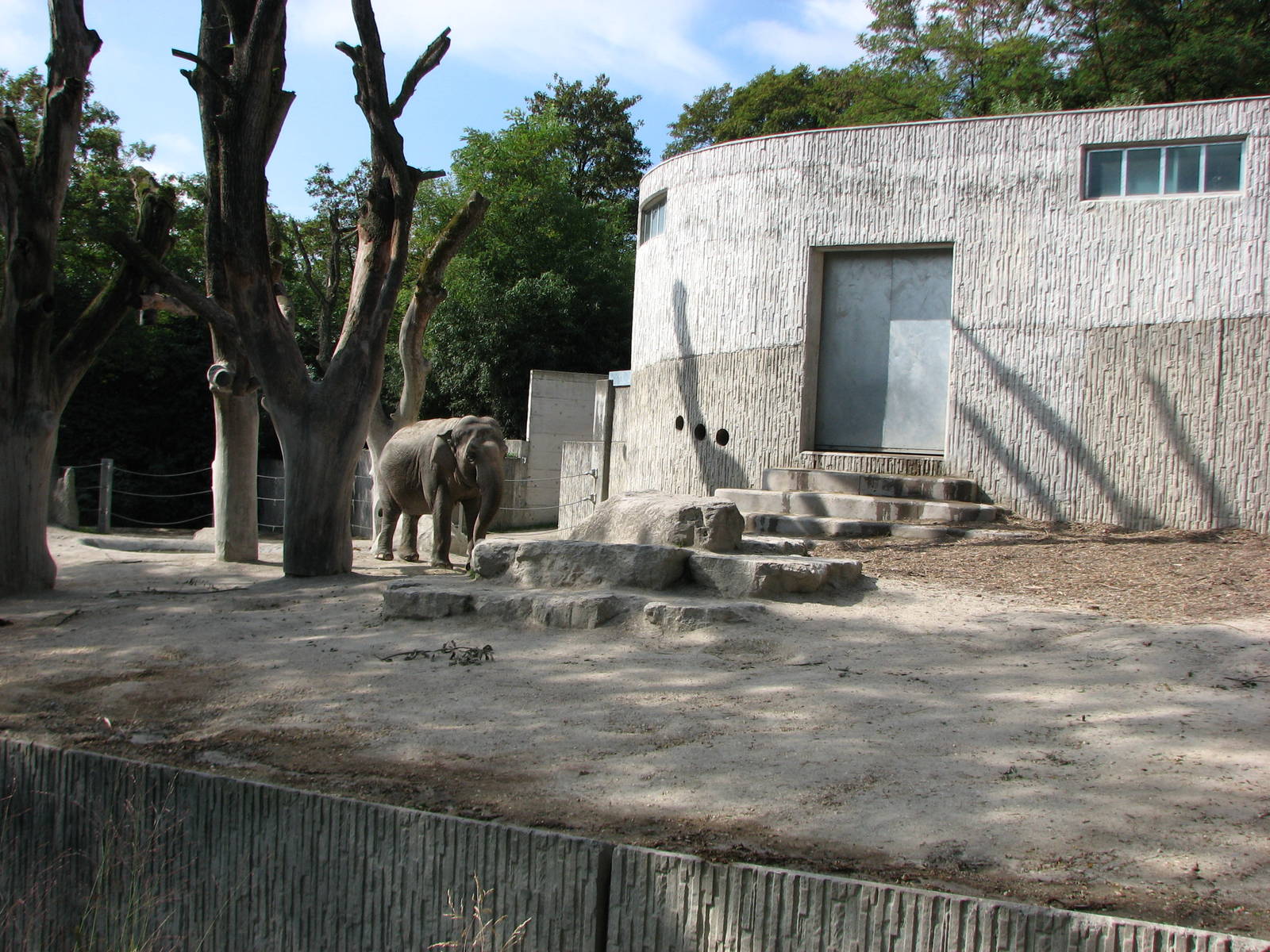 Zürich Zoo 2006 - Asiatic Elephant exhibit