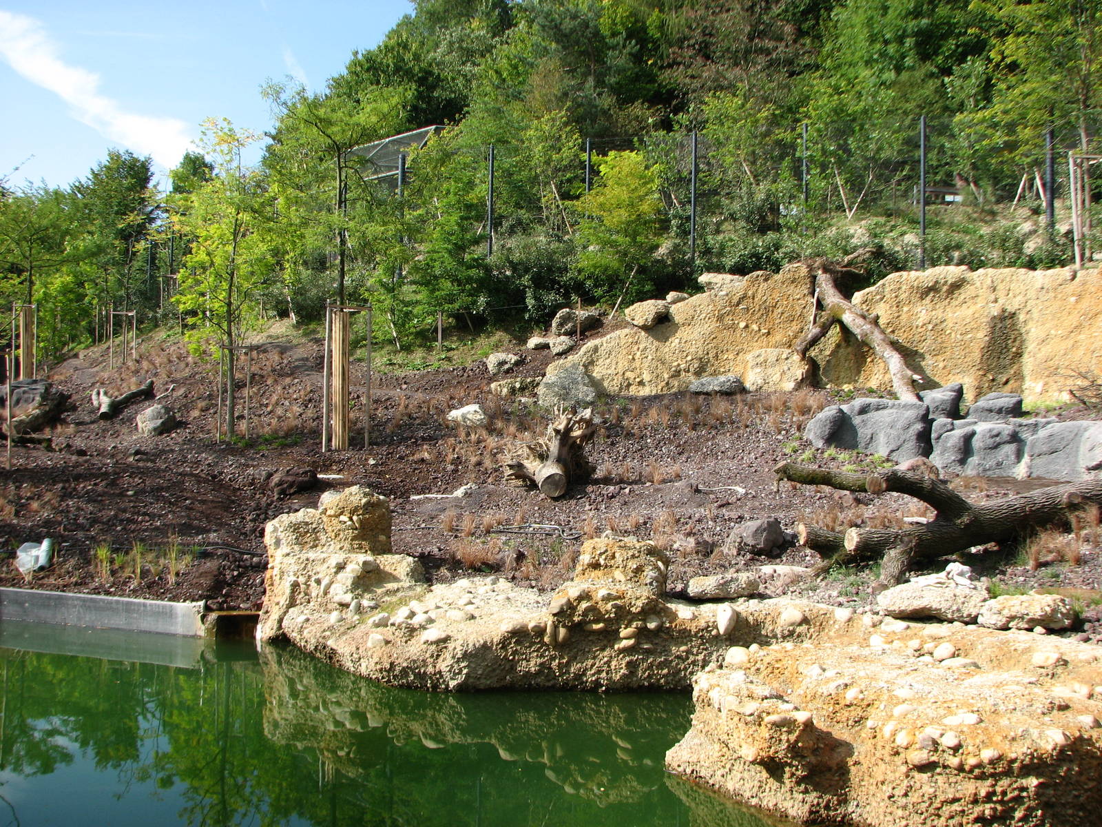 Zürich Zoo 2006 - Asiatic Lion exhibit