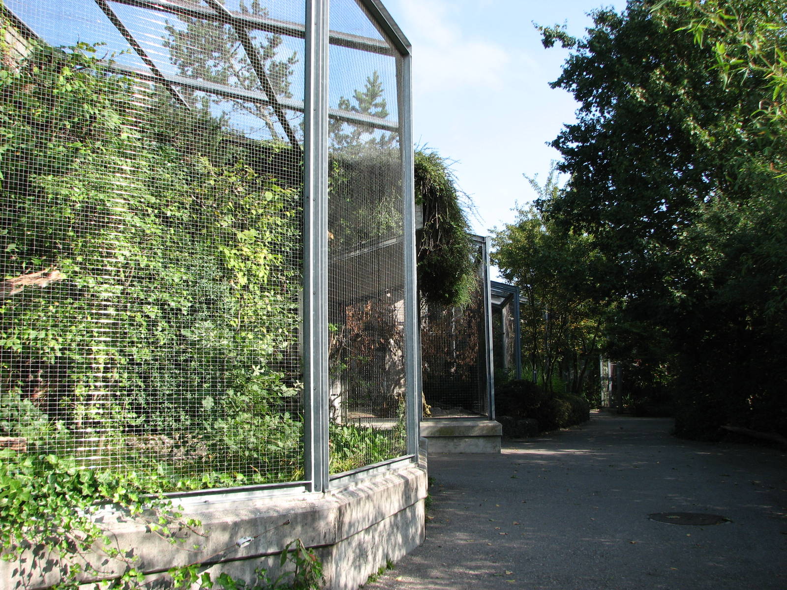 Zürich Zoo 2006 - Aviaries close to the entrance